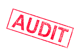 etaxdial audit report
